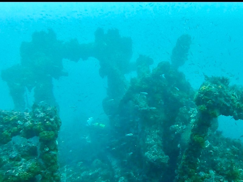Divesite Image