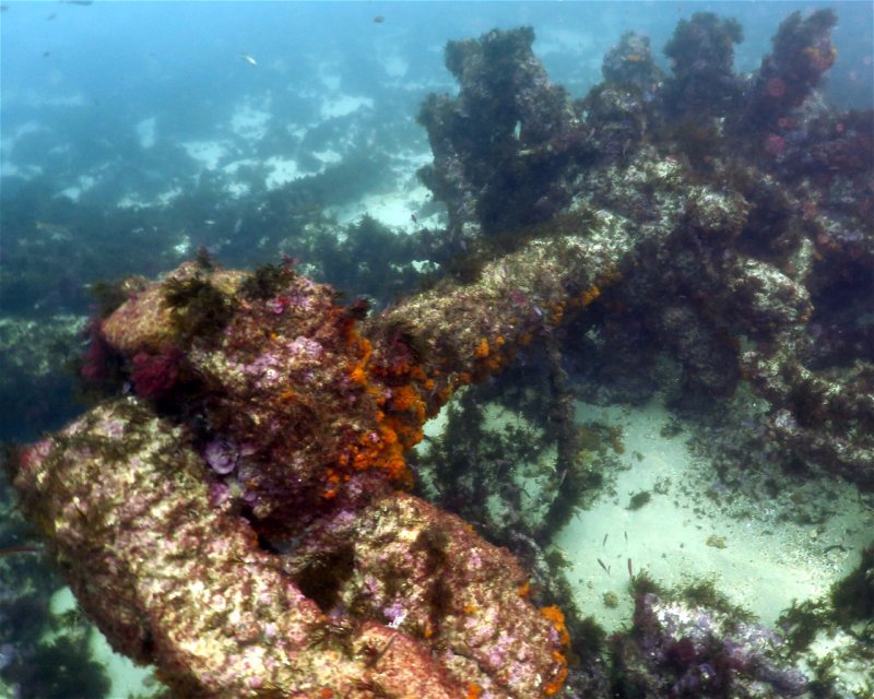 Divesite Image