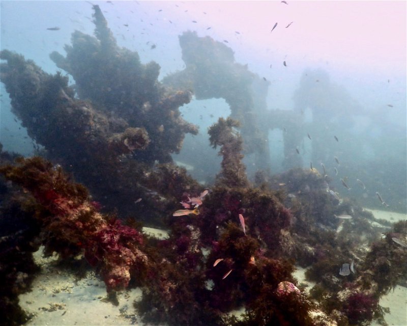 Divesite Image