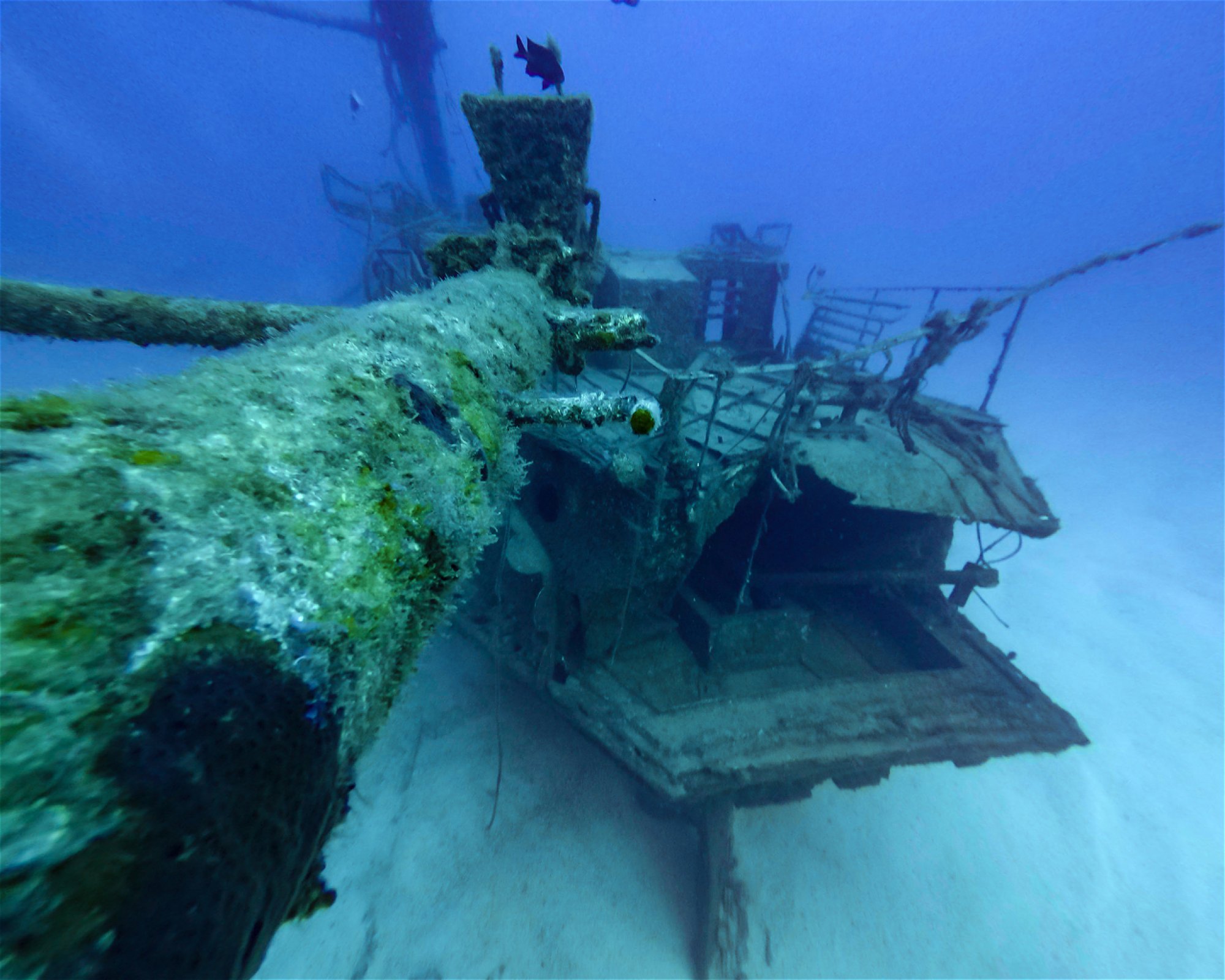 TENERIFE DIVE EXPERIENCE, 38660 SANTA CRUZ DE TENERIFE