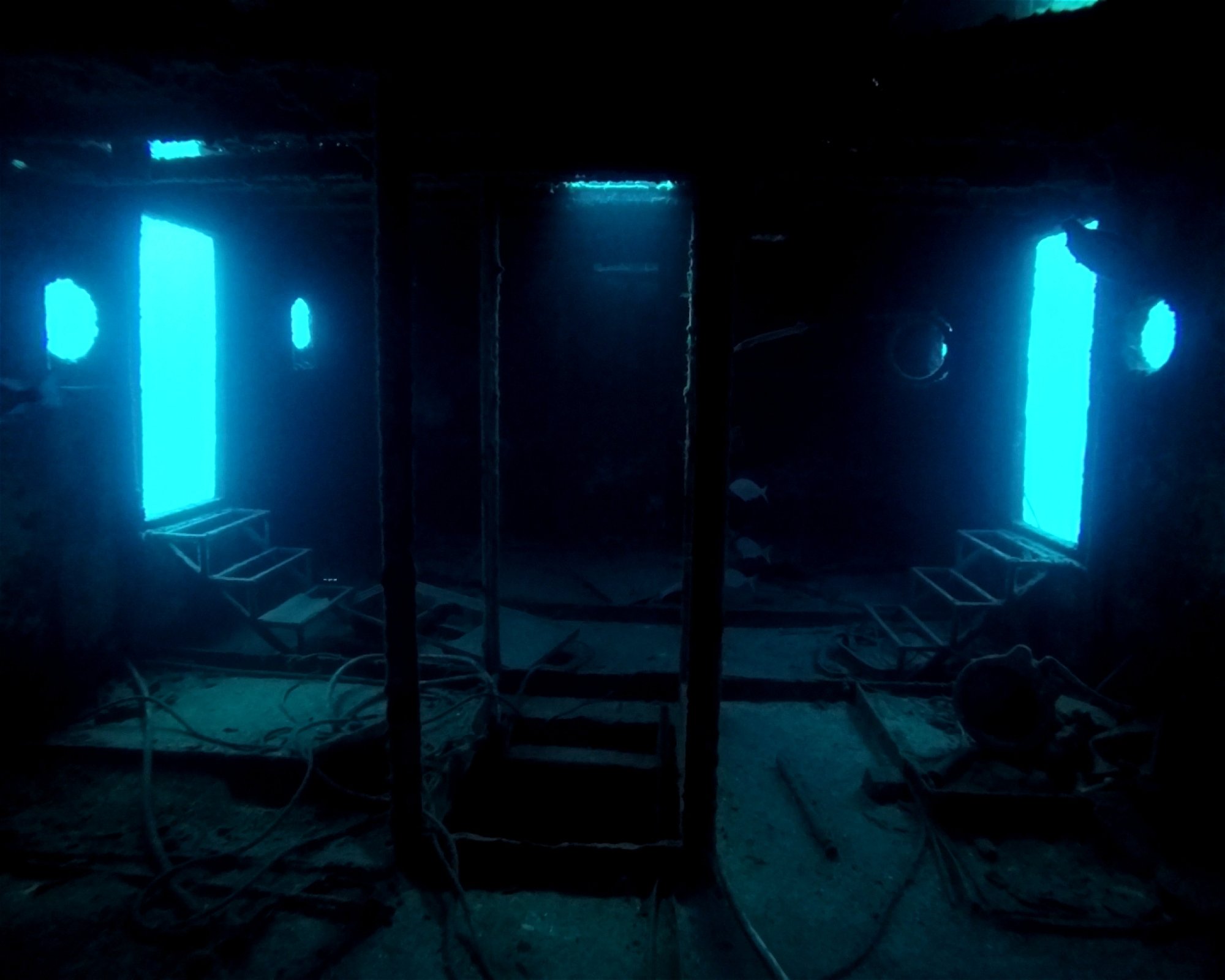 TENERIFE DIVE EXPERIENCE, 38660 SANTA CRUZ DE TENERIFE