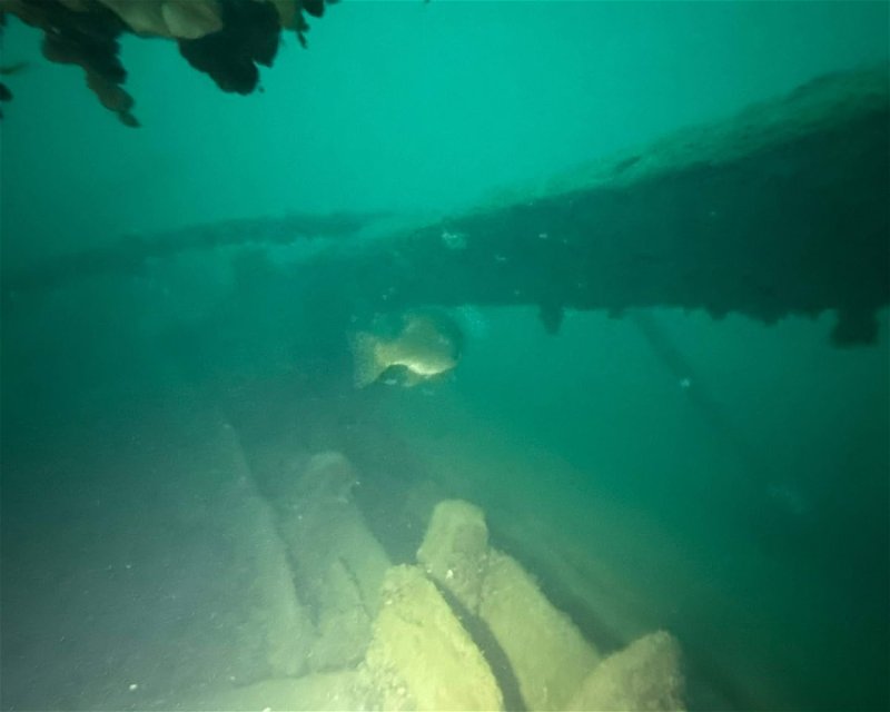 Divesite Image