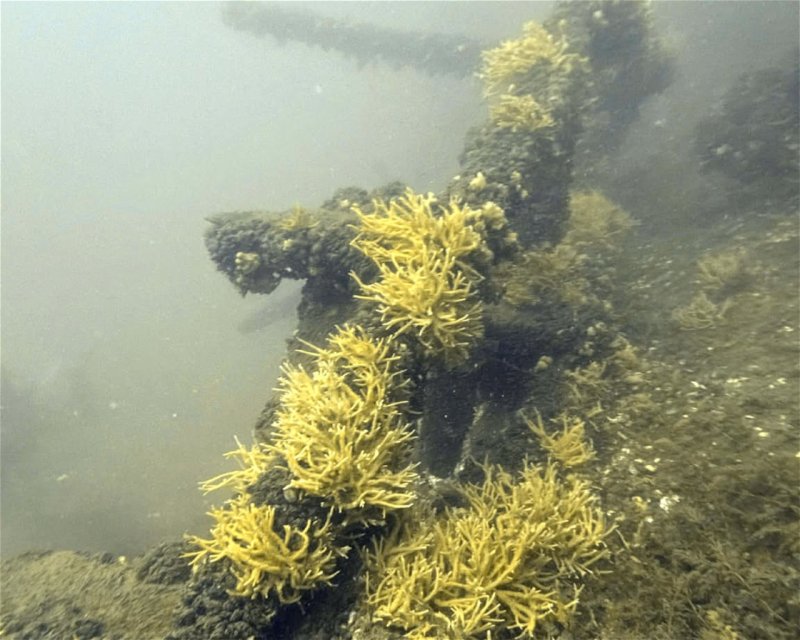 Divesite Image