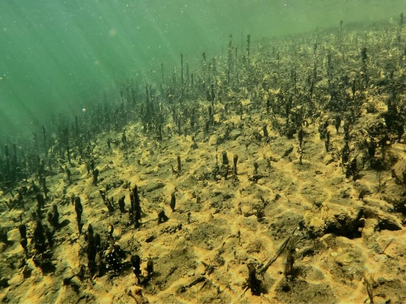 Divesite Image