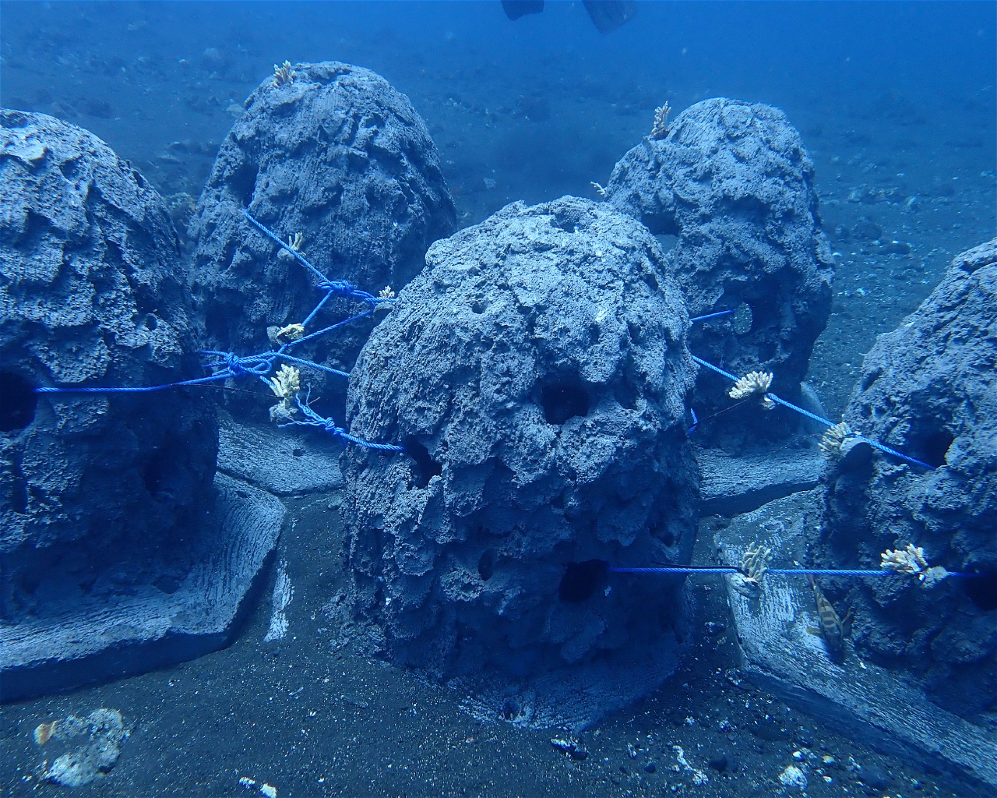 Amed Buddha Diving, 80852 Bunutan