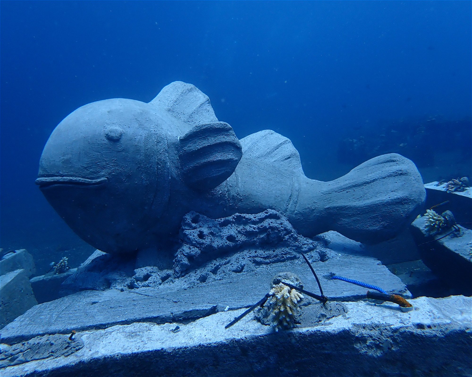Amed Buddha Diving, 80852 Bunutan