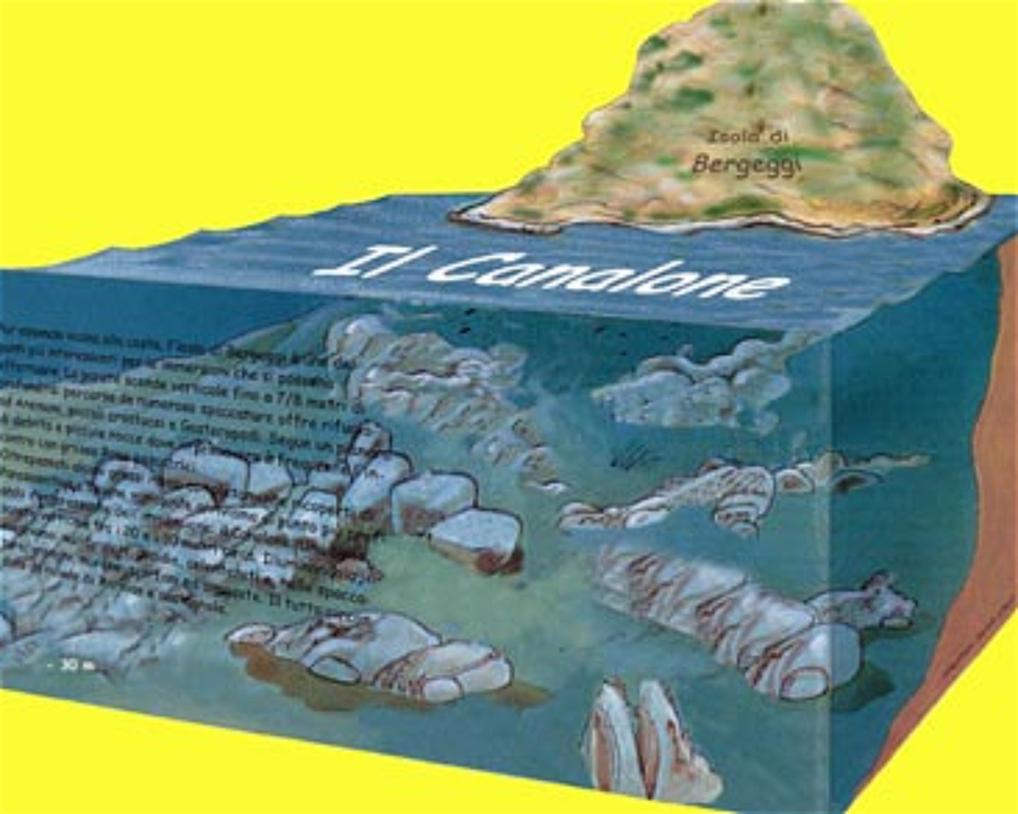 DIVING CENTER SERVICE NEREO SUB, 17028 SPOTORNO