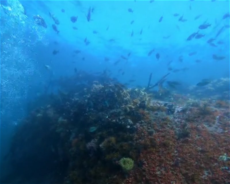 Divesite Image