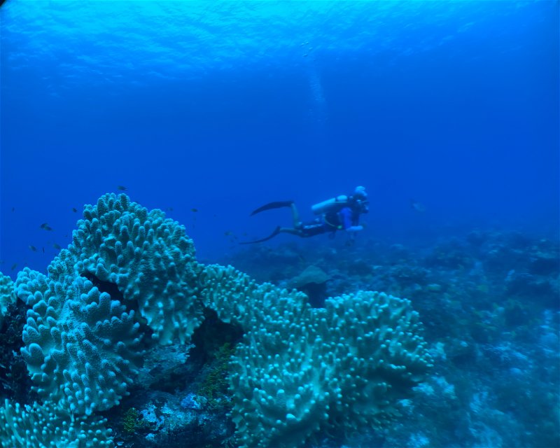 Divesite Image