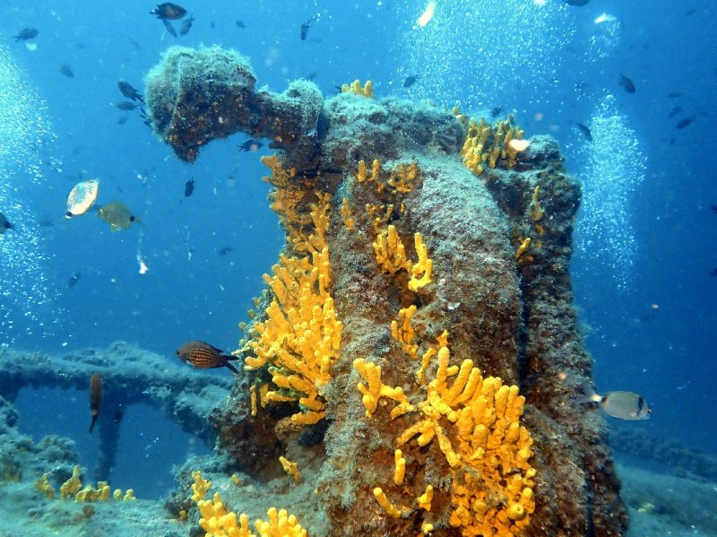 Divesite Image