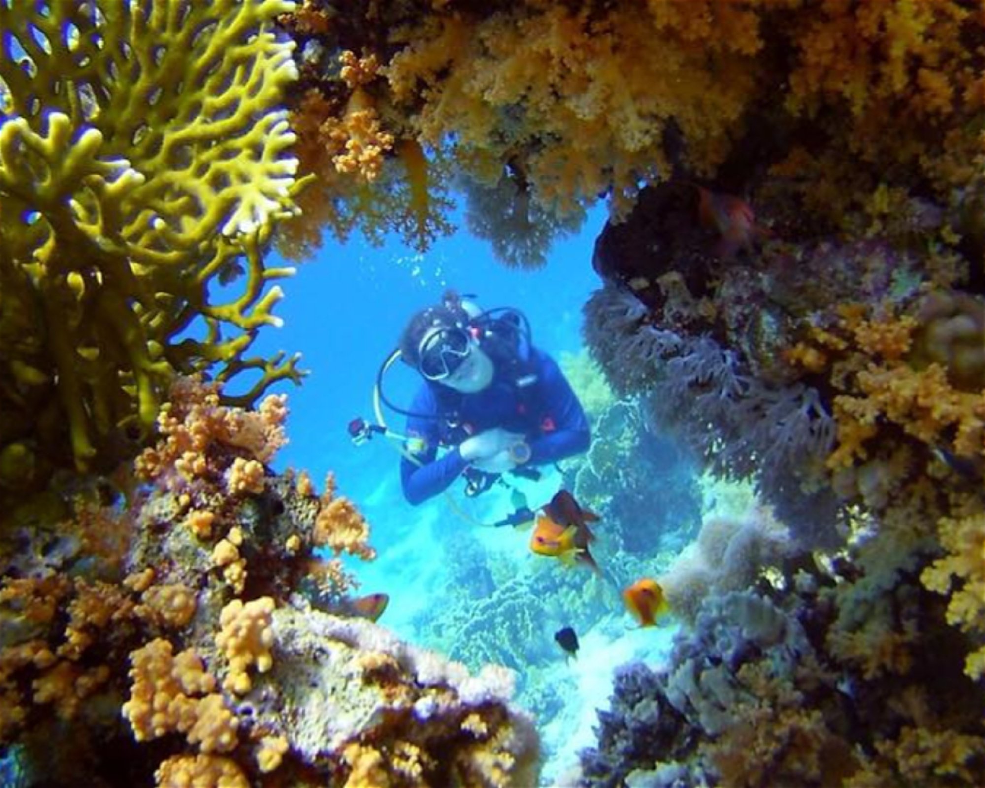 Eagle Divers, Sharm El- Sheikh