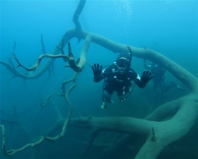 Divesite Image