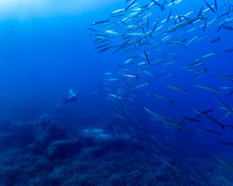 Divesite Image