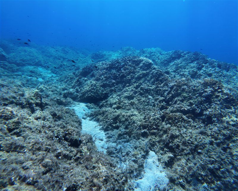 Divesite Image