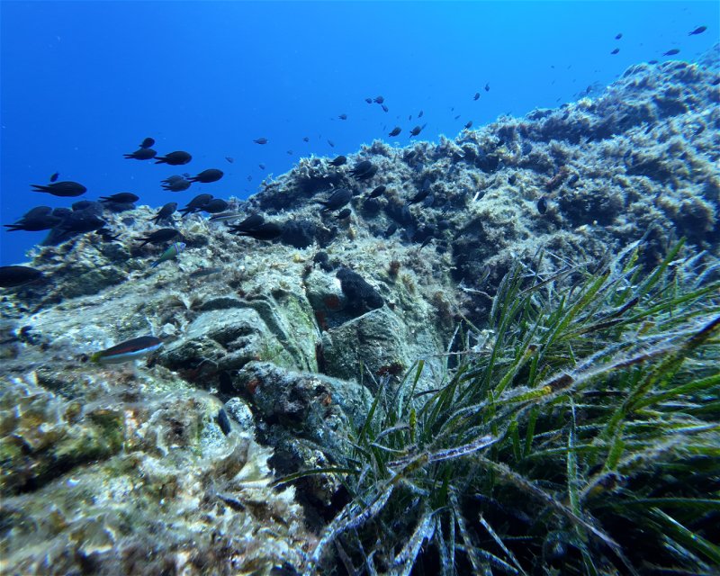Divesite Image
