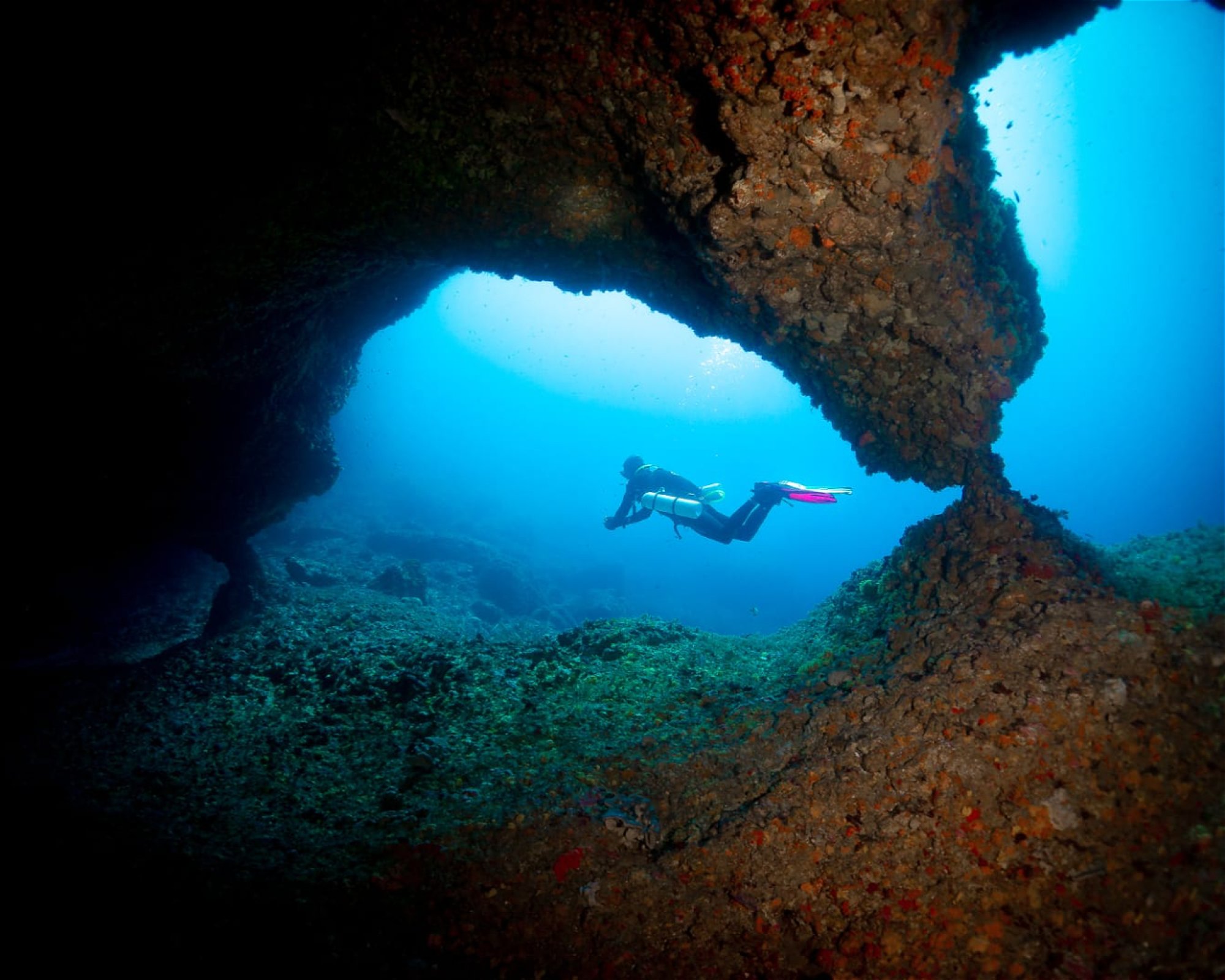 POSEIDON DIVING CENTER, 07041 Alghero