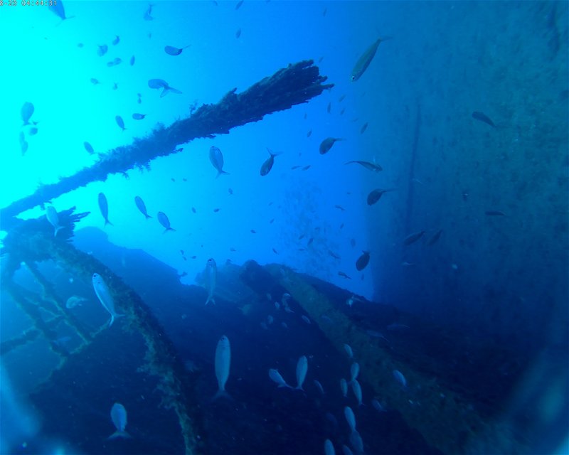 Divesite Image
