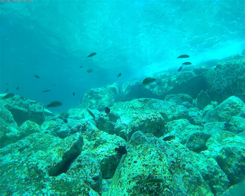 Divesite Image