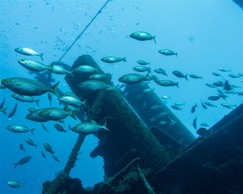 Divesite Image