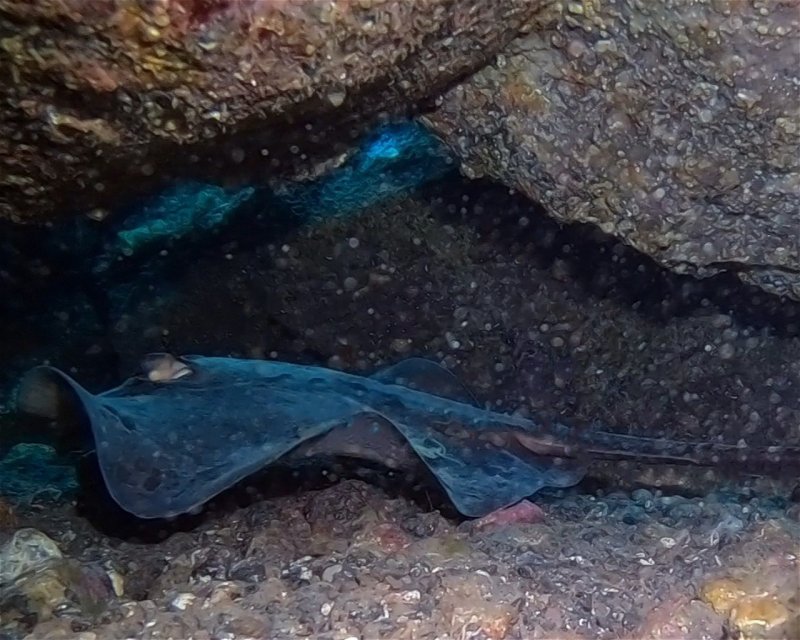 Divesite Image