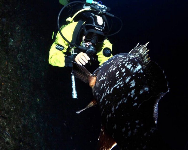 Divesite Image