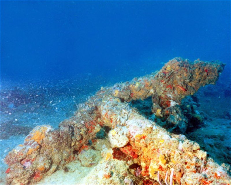 Divesite Image