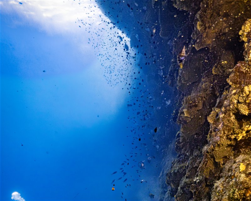 Divesite Image