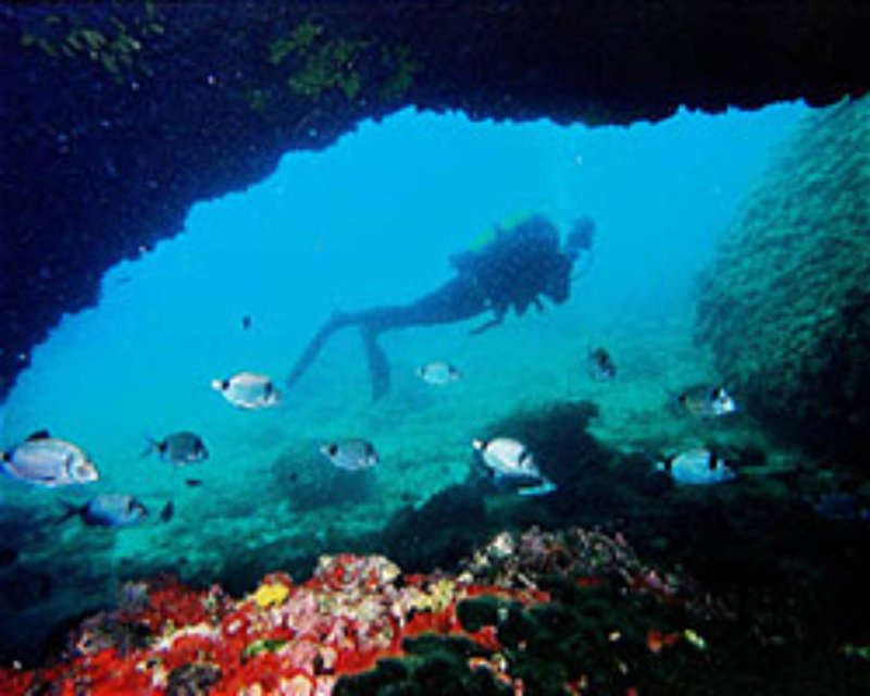 Divesite Image