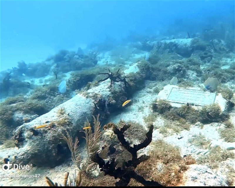 Divesite Image