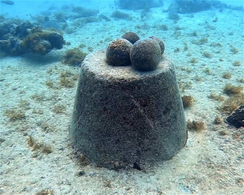 Divesite Image