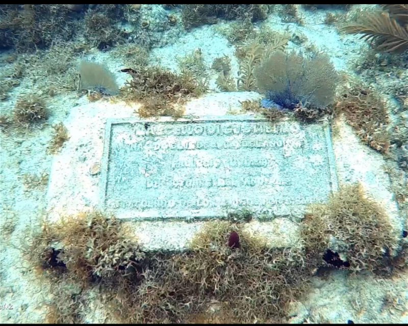 Divesite Image