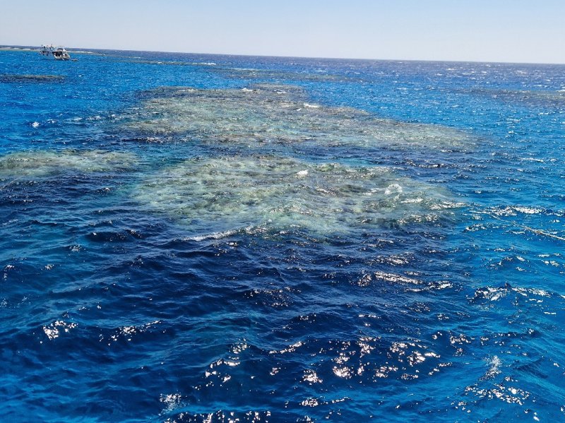 Divesite Image