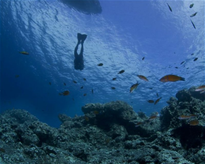 Divesite Image