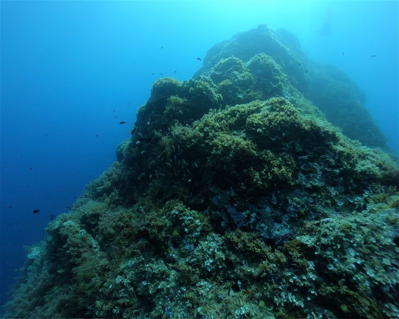 Divesite Image