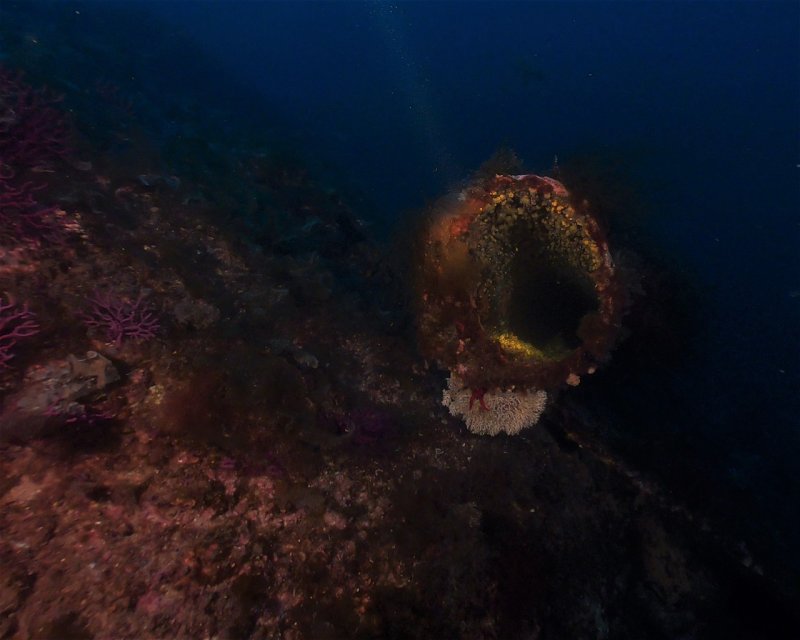 Divesite Image
