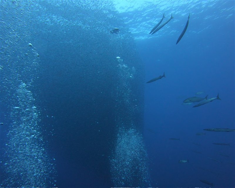 Divesite Image