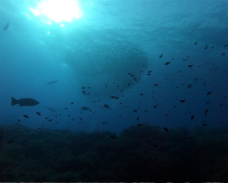 Divesite Image