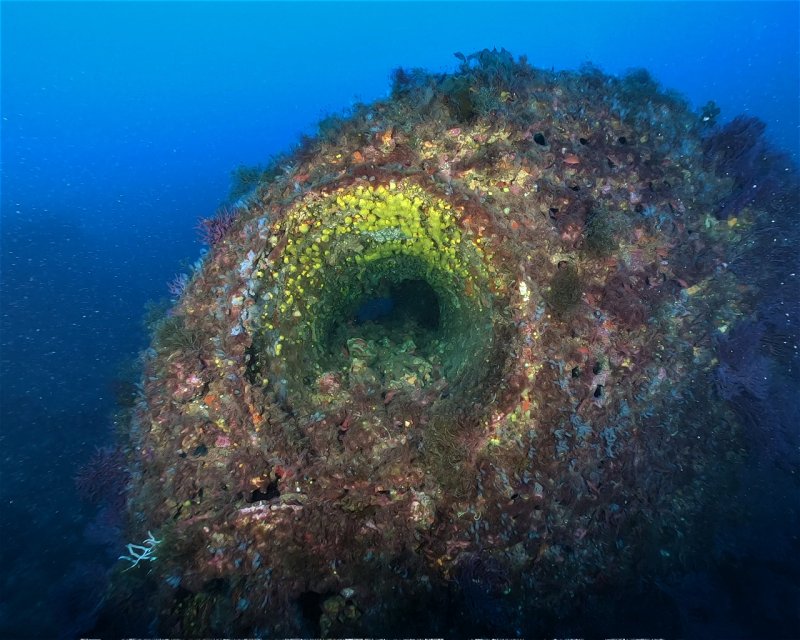 Divesite Image