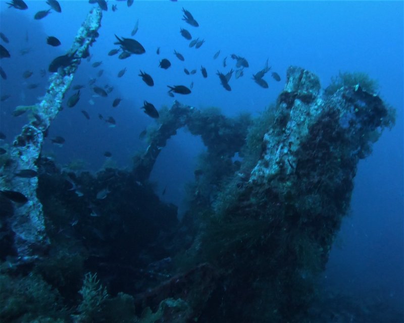 Divesite Image