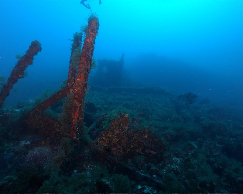 Divesite Image