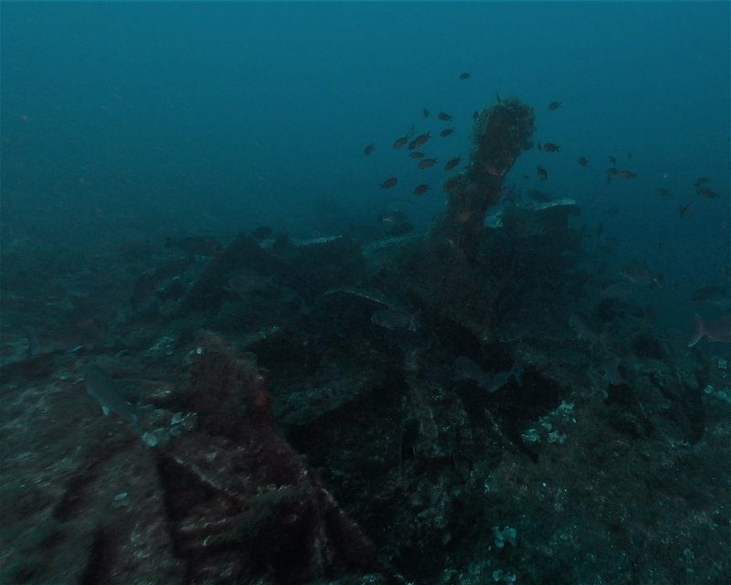 Divesite Image