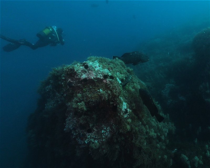 Divesite Image