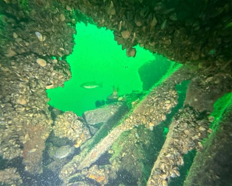 Divesite Image