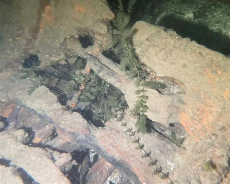 Divesite Image