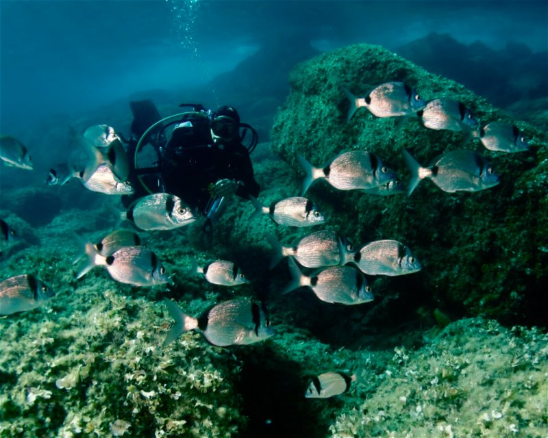 Divesite Image