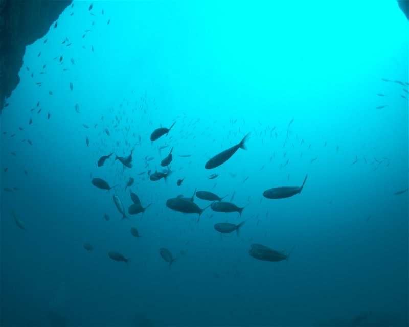 Divesite Image
