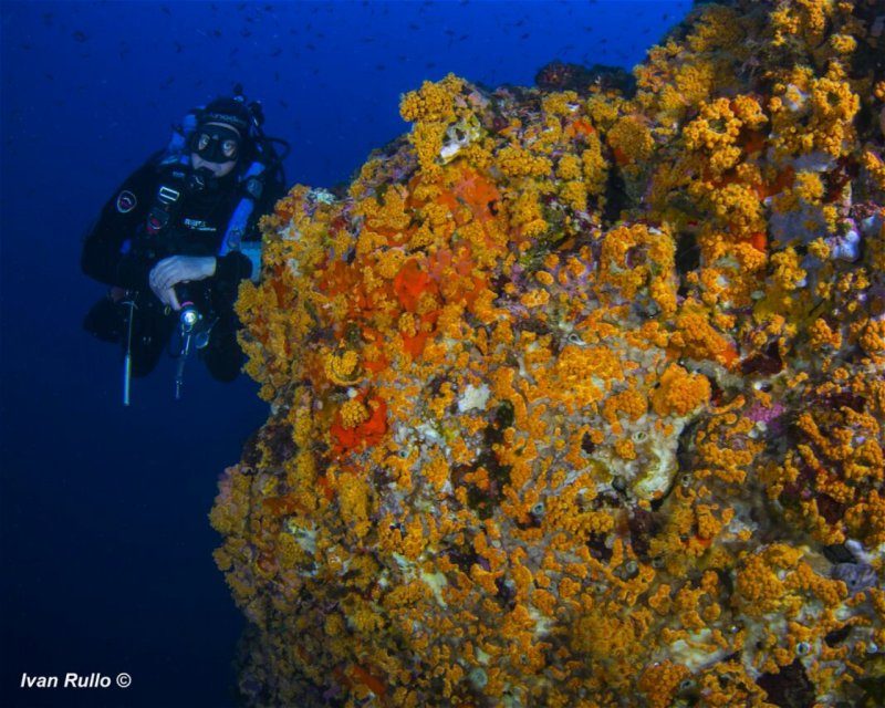 Divesite Image