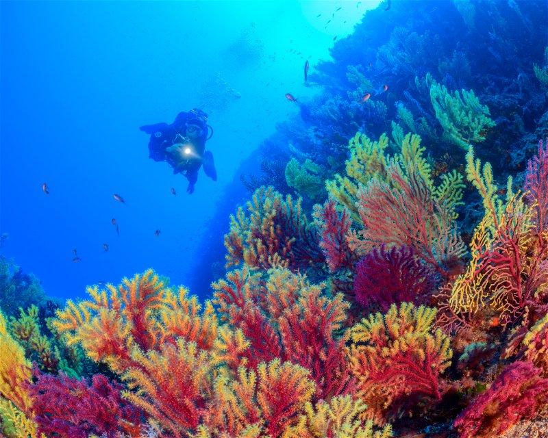 Divesite Image