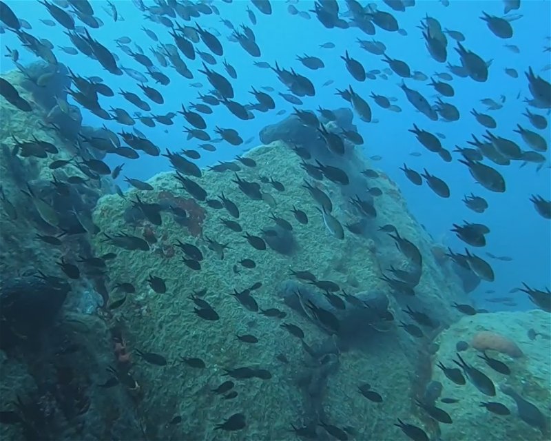 Divesite Image