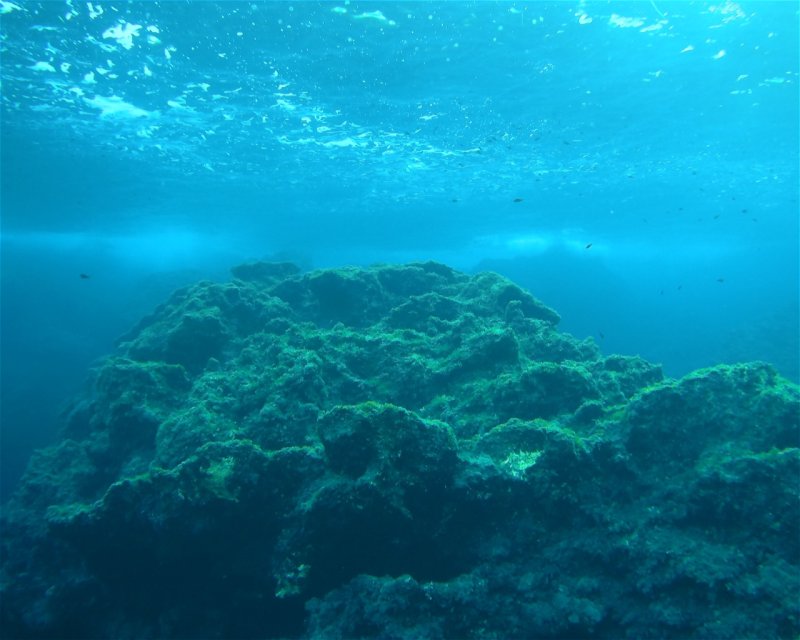 Divesite Image
